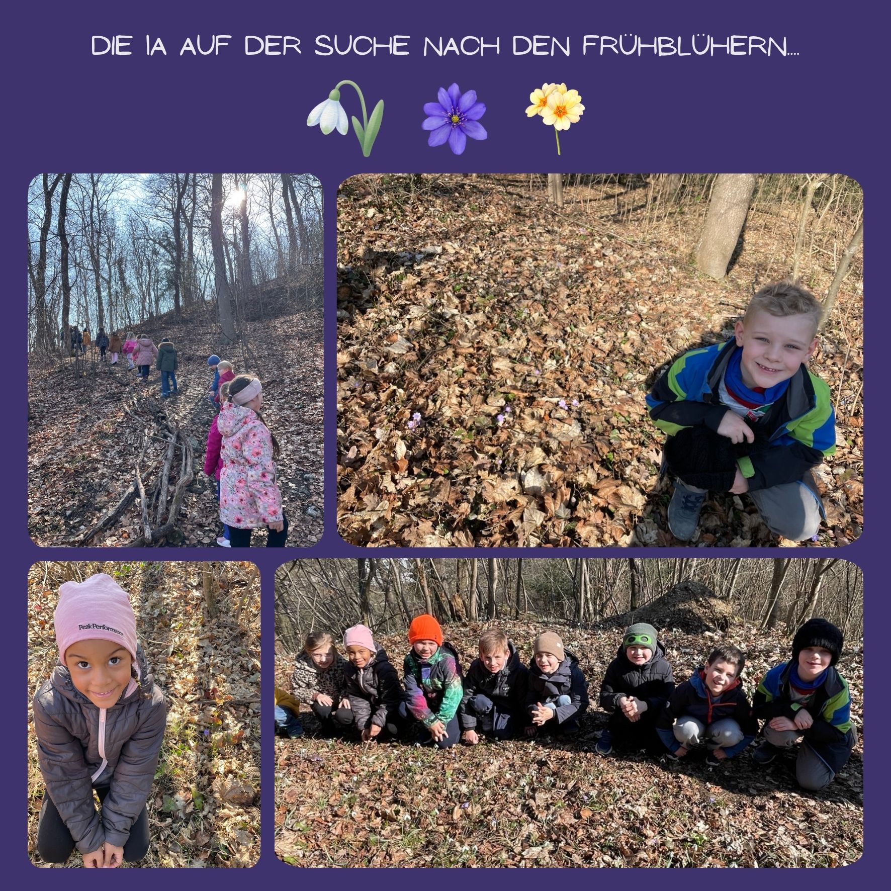 Die 1a auf der Suche nach den Frühblühern