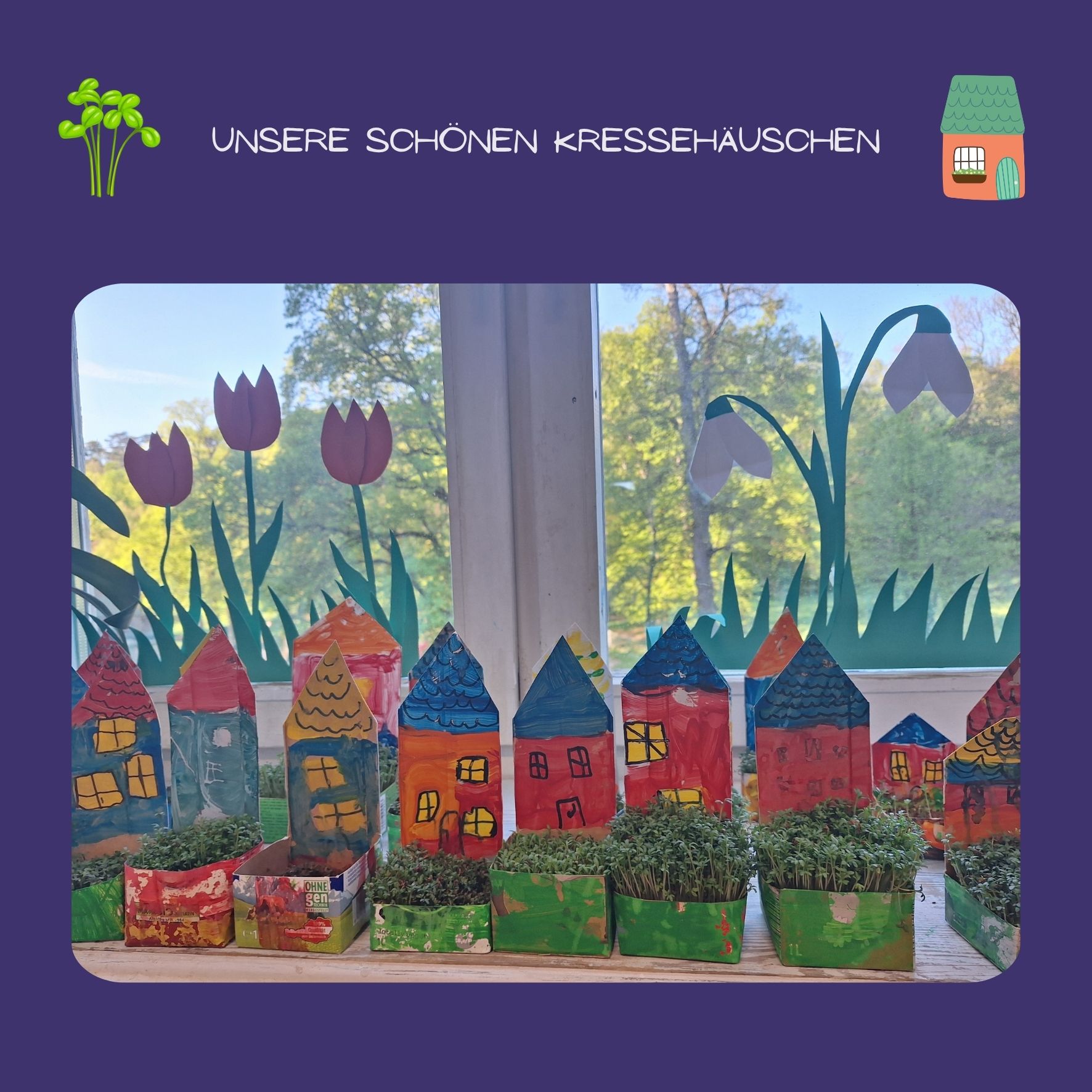 Die 1b baut Kresse an