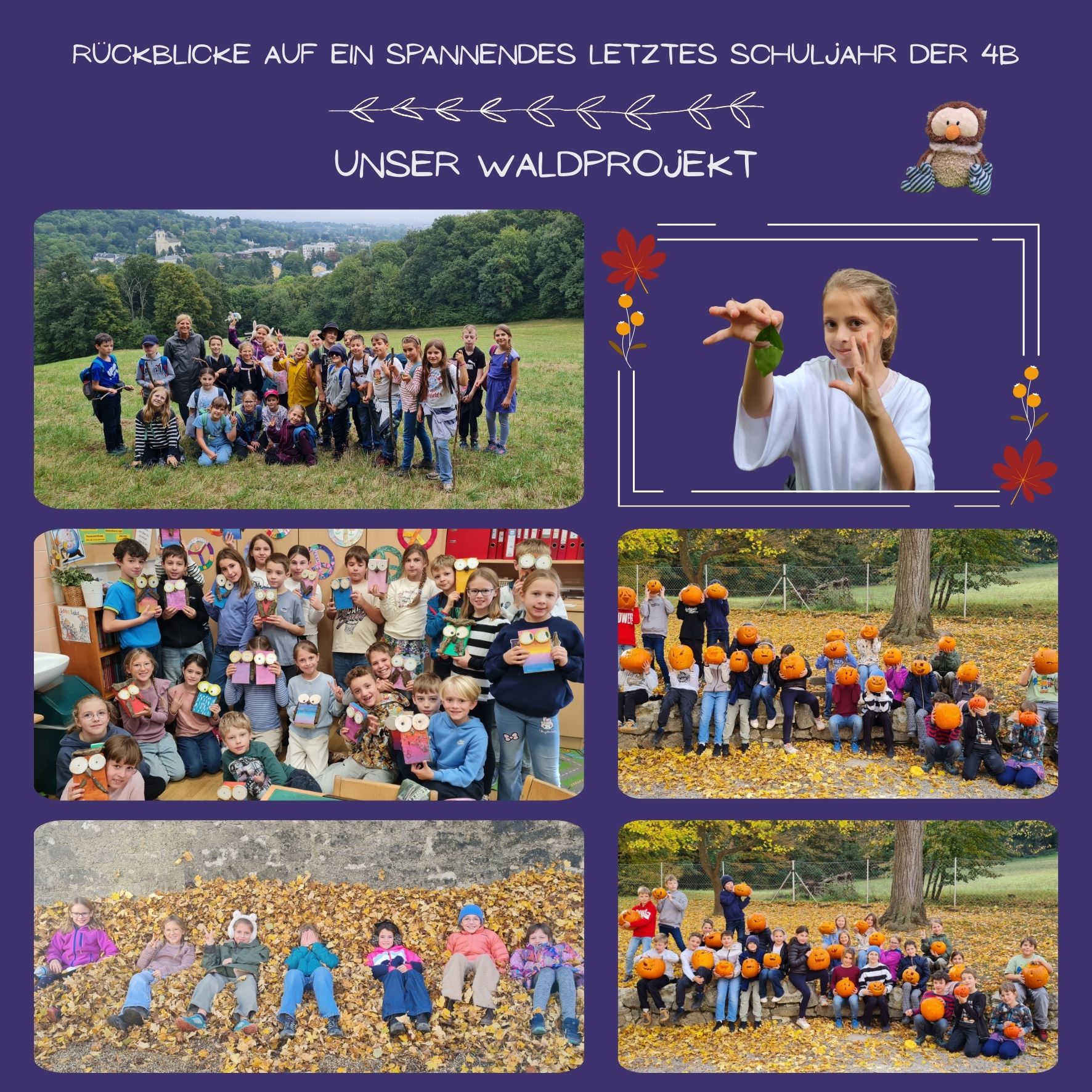 Rückblicke aus der 4b - Unser Waldprojekt