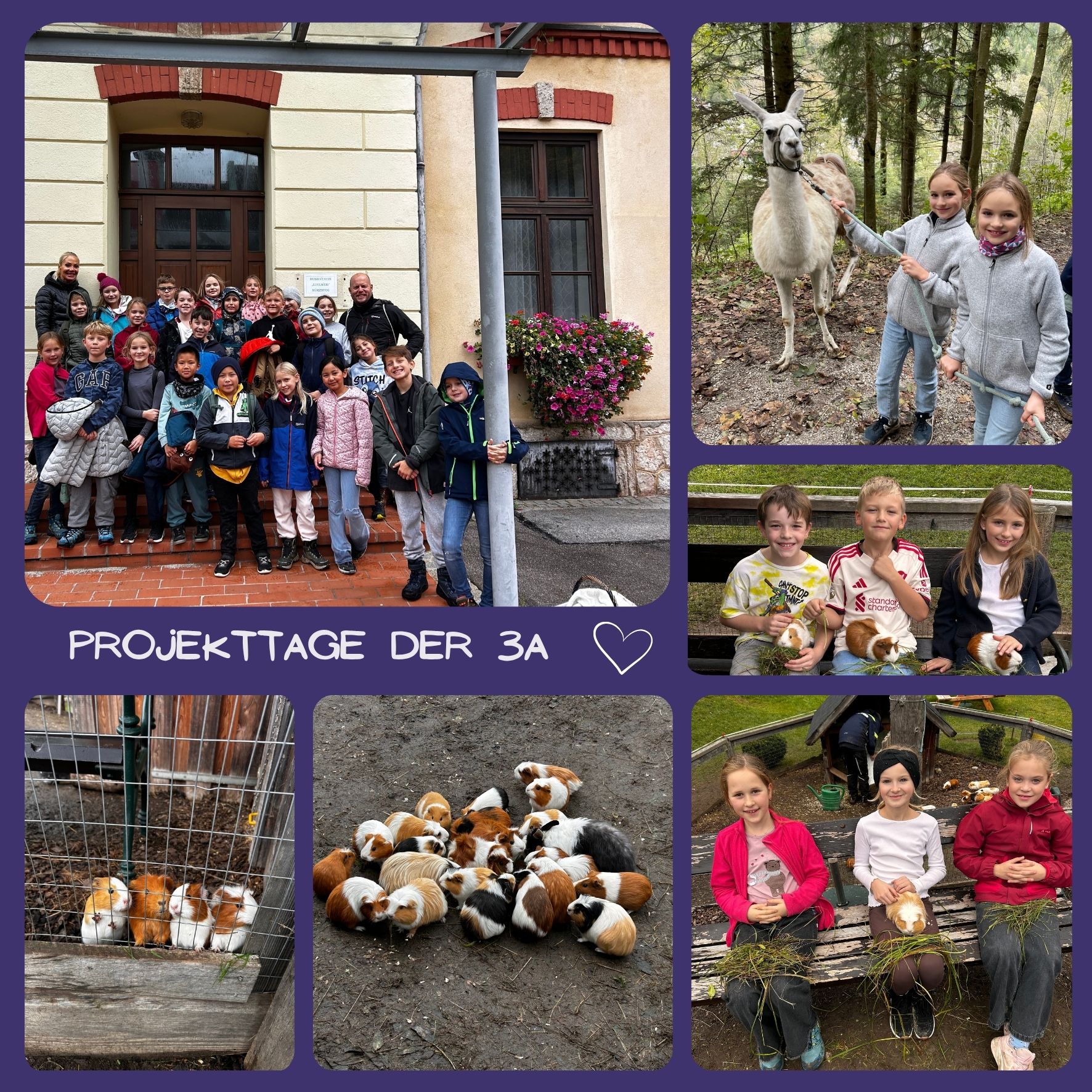 Rückblick aus der 3a - Projekttage 2025